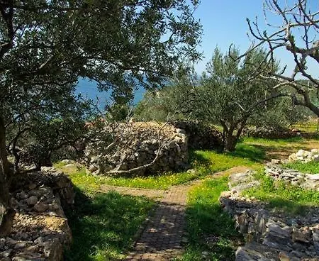 Apartman In With Sea View, Terrace, Air Conditioning, W-lan 5026-1 *